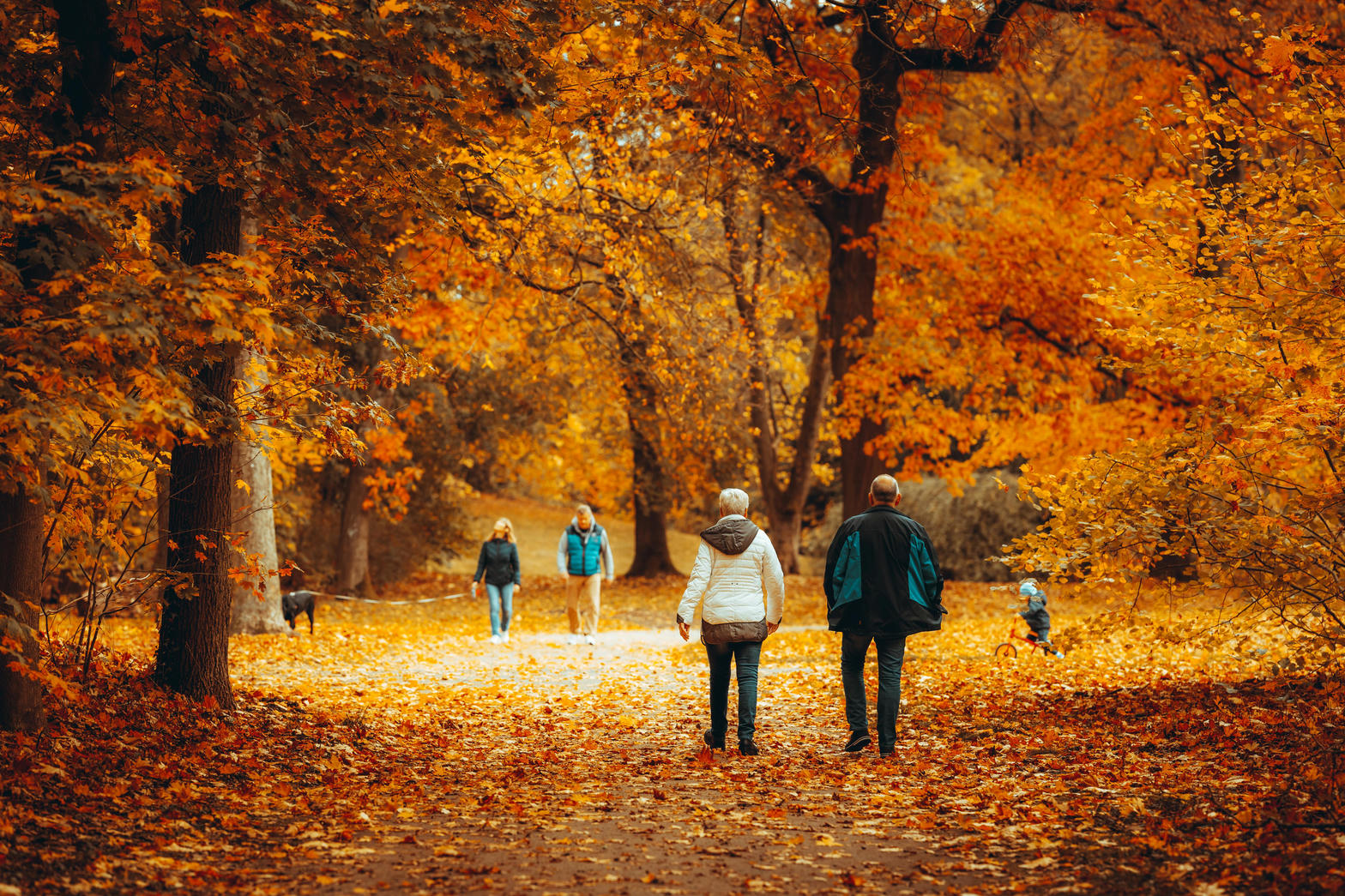 Park — tło codziennego spaceru